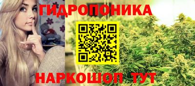 apvp Волжский