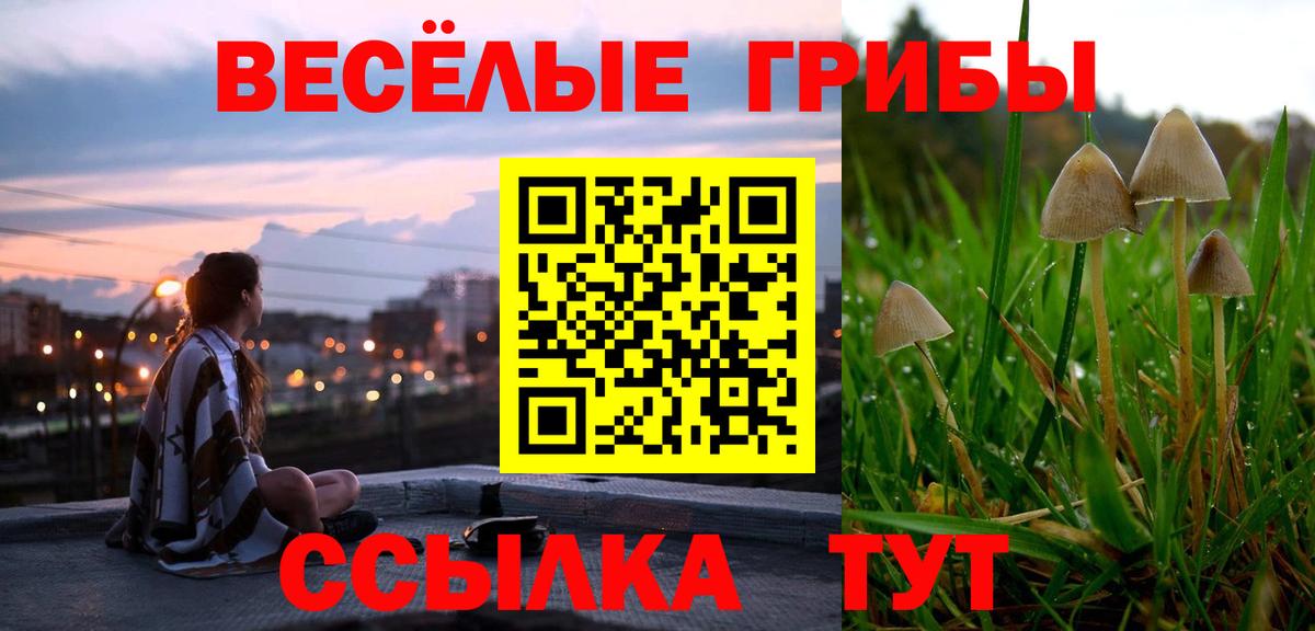 Галлюциногенные грибы прущие грибы Бугульма