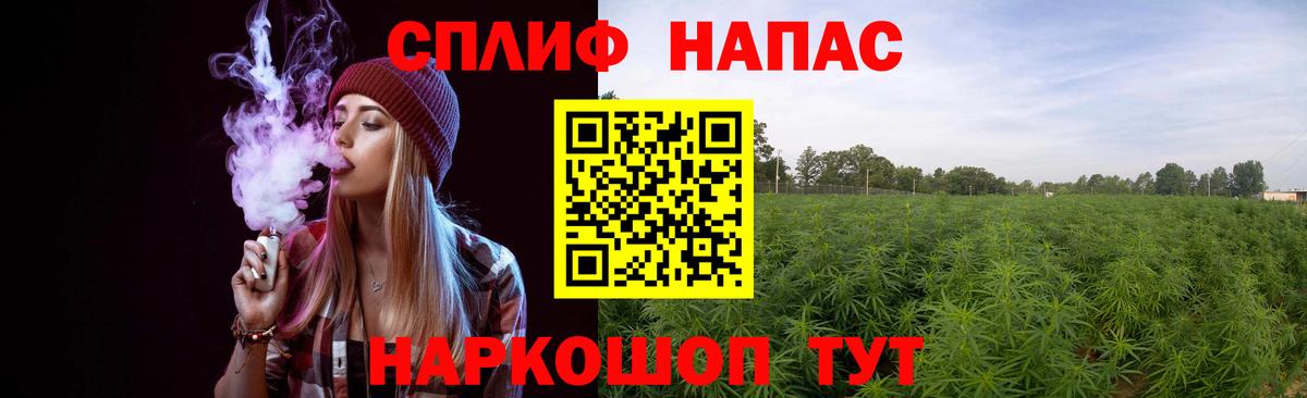 Конопля семена Бугульма